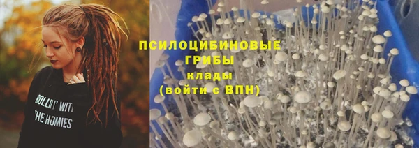 мет Нефтекумск