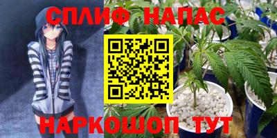 гашик Аргун