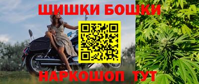 гашик Аргун