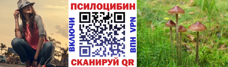 Псилоцибиновые грибы GOLDEN TEACHER  Батайск 