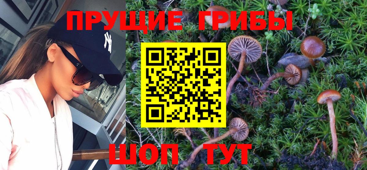 Галлюциногенные грибы Psilocybine cubensis  Вход с VPN  Галлюциногенные грибы Psilocybine cubensis  Батайск 