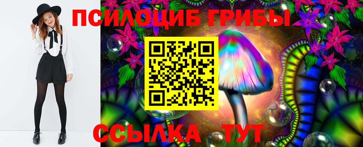 Псилоцибиновые грибы Cubensis Батайск