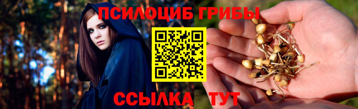Галлюциногенные грибы Psilocybe  Батайск 